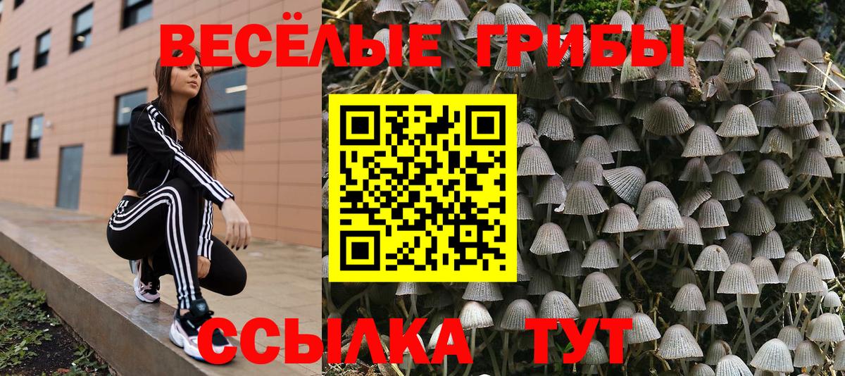 Галлюциногенные грибы GOLDEN TEACHER Усть-Кут