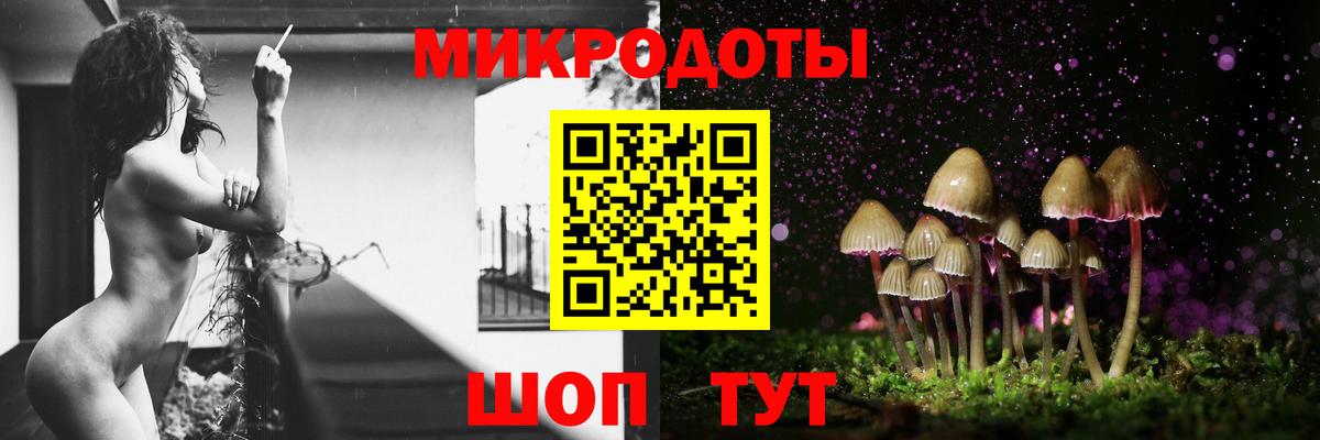 Галлюциногенные грибы Cubensis  Вход с VPN  Усть-Кут 